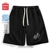 Men's Summer Casual Quick-Dry Shorts