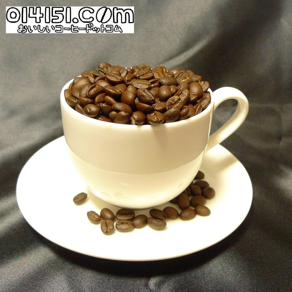 TRIDEA Paper Filters, 1-6 Cups, 40 Filters, White (White, 10 Bags of 40 Filters X 10)