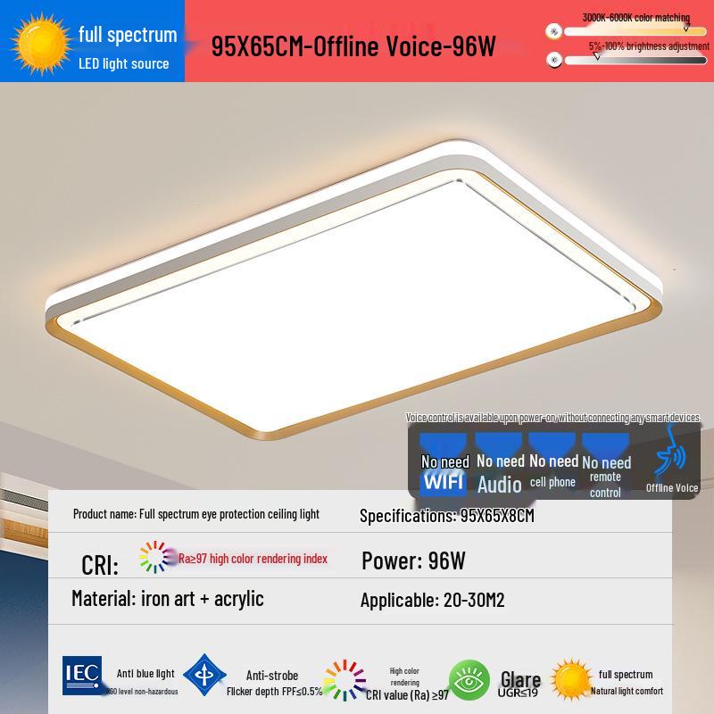 2025 LED Eye-Protecting Full Spectrum Ceiling Light for Bedroom and Living Room - Modern and Simple Design