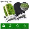 Seed Sprouting Jar Kit Wide Mouth Durable Glass Sprout Grower with Stainless Steel Screen for Easy Filling and Rinsing at Home