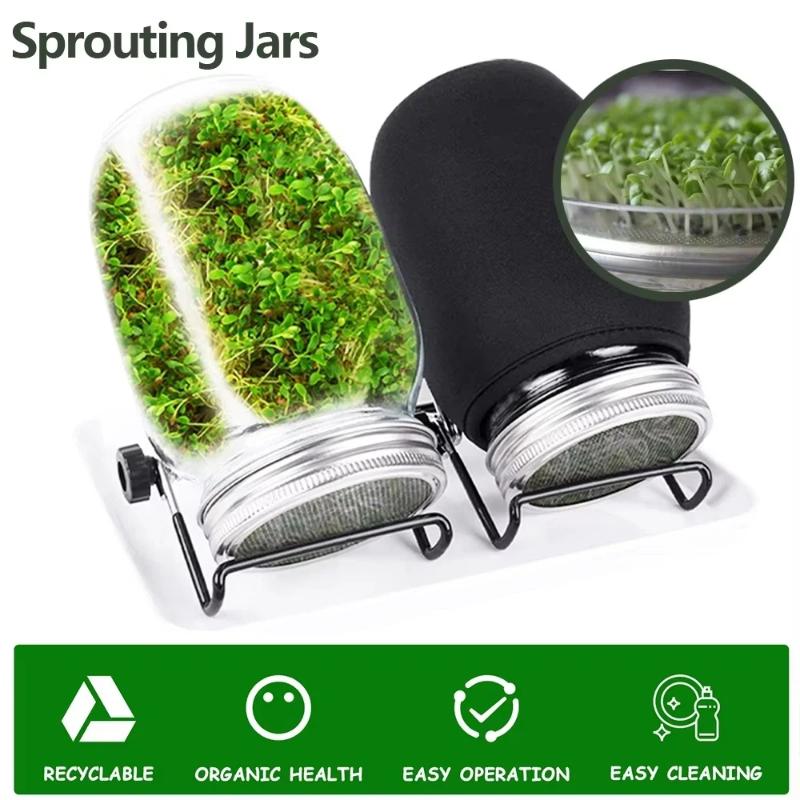 Seed Sprouting Jar Kit Wide Mouth Durable Glass Sprout Grower with Stainless Steel Screen for Easy Filling and Rinsing at Home