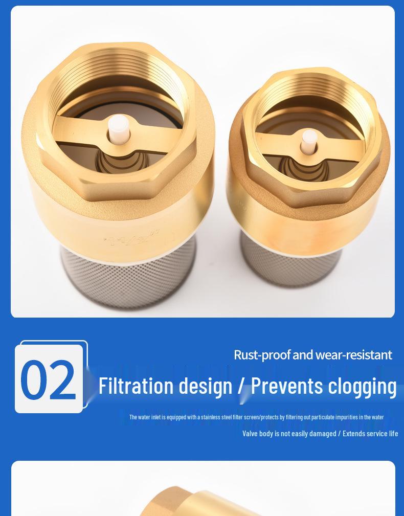 Leak-proof Brass 1-Inch Check Valve with Strainer for Water Pumps