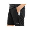 Шорты Puma 27224