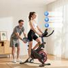 QK101-DZ Spin Bike Silent 6kg Flywheel Adult Home LCD Exercise Bike