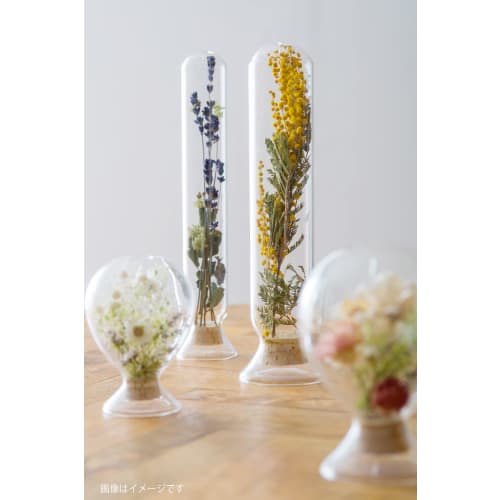 POSH LIVING Seed Bottle Cylinder, Clear, Size: Approx. W7 D7 H25 22716