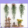 Plant Epipremnum Aureum Wall Hanging Durable Material Interior Decor