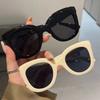 Oversized Butterfly Cat Eye Sunglasses New Trendy Fashion Female Colorful Popular Brand Designer Eyewear Women Shades