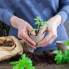 Seedling Pots 45 Pieces Germination Gardening Container Round Plant Seedling Pots For Yard Backyard Balcony Flowers Vegetables