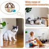 Cat Ball Toy  Interactive Sound Ball For Cats And Dogs, Kitten And Puppy Compatible, Indoor Play, Chew And Training