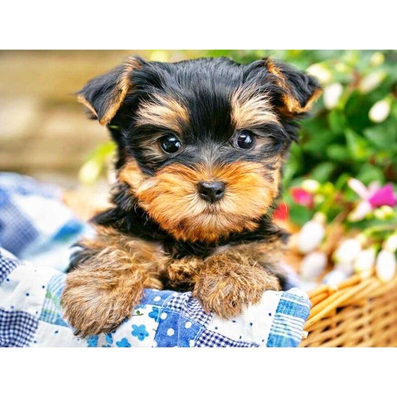 New 5D DIY Diamond Painting Dog Flower Diamond Embroidery Animal Cross Stitch Full Round Drill Home Decor Manual Art Gift