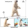 Children's Cognitive Animal Models: Polar Bear & Penguin Plastic Toys