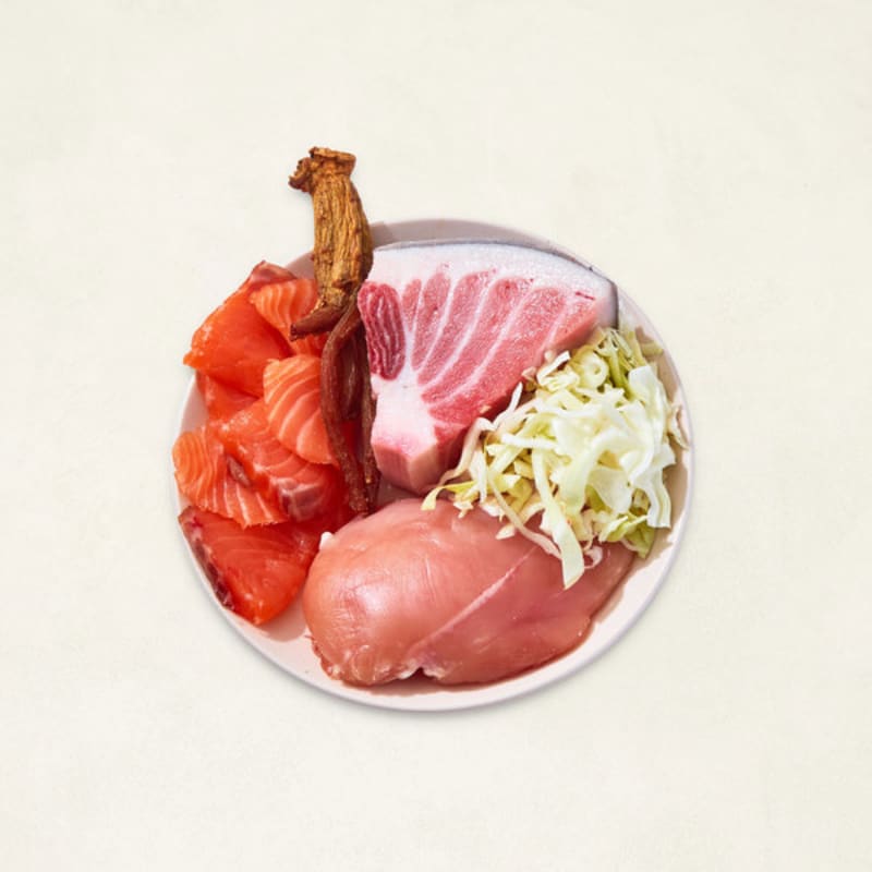 [Pet] Sajo Opti1 Boost Cat 160 G Chicken Tenderloin And Salmon