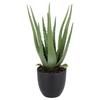 Sztuczna Aloes w Doniczce, 45 cm Wysokości, Zielony, Jak Żywa Dekoracja