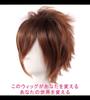 CaseEden Cosplay Premium Smooth Short 30cm Brown WIG5551 Wig, Hair,