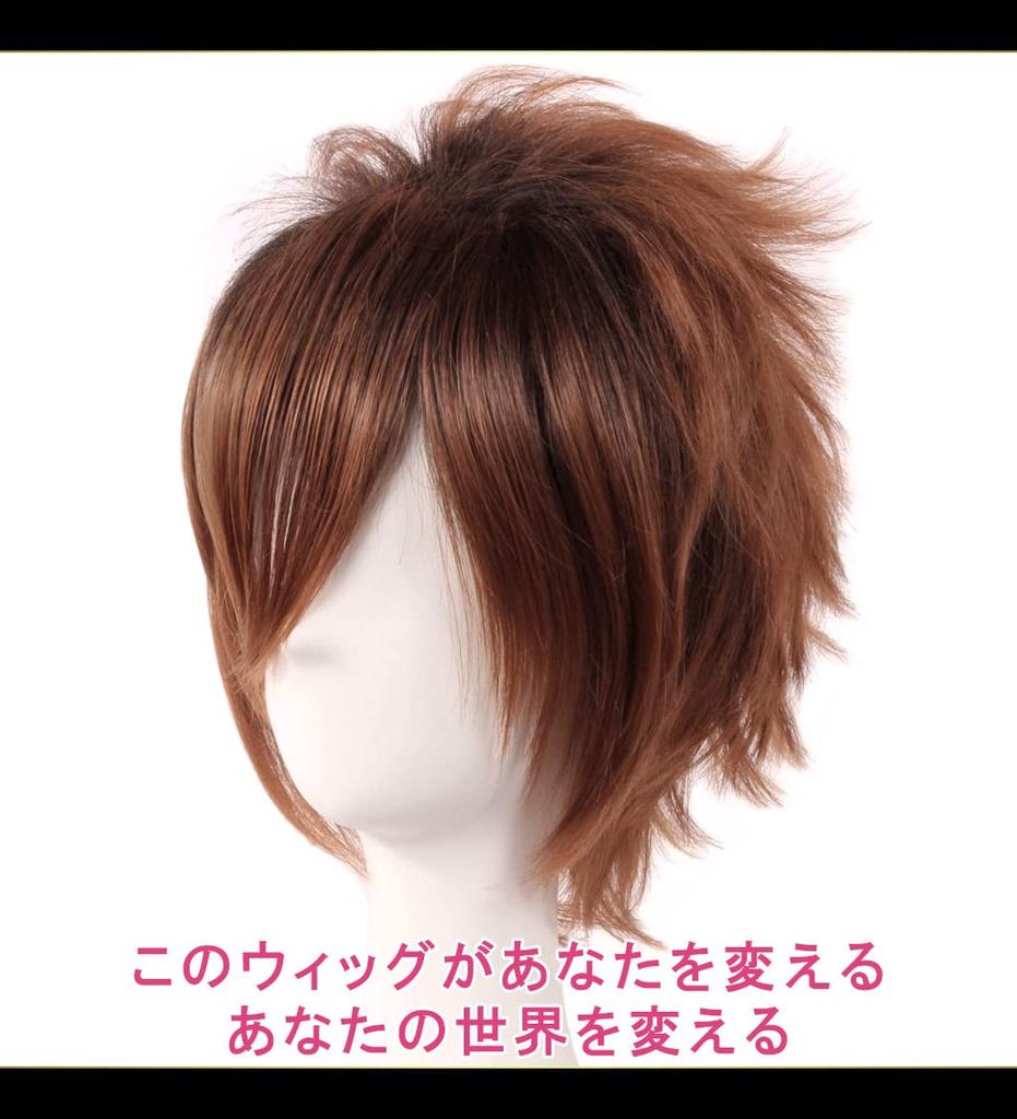 CaseEden Cosplay Premium Smooth Short 30cm Brown WIG5551 Wig, Hair,
