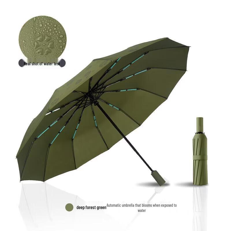 Shiguangxia 12-Rib Folding Umbrella - Water-Blooming Design