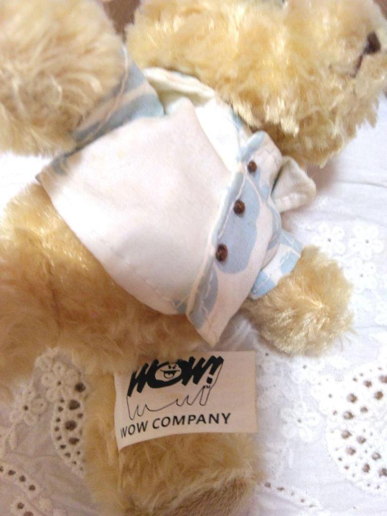[USED] Hawaii Moana Surfrider Teddy Bear Moana Bear Keychain