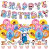Ms Rachel Birthday Party Decorations Set With Balloons And Flags For Kids Celebration