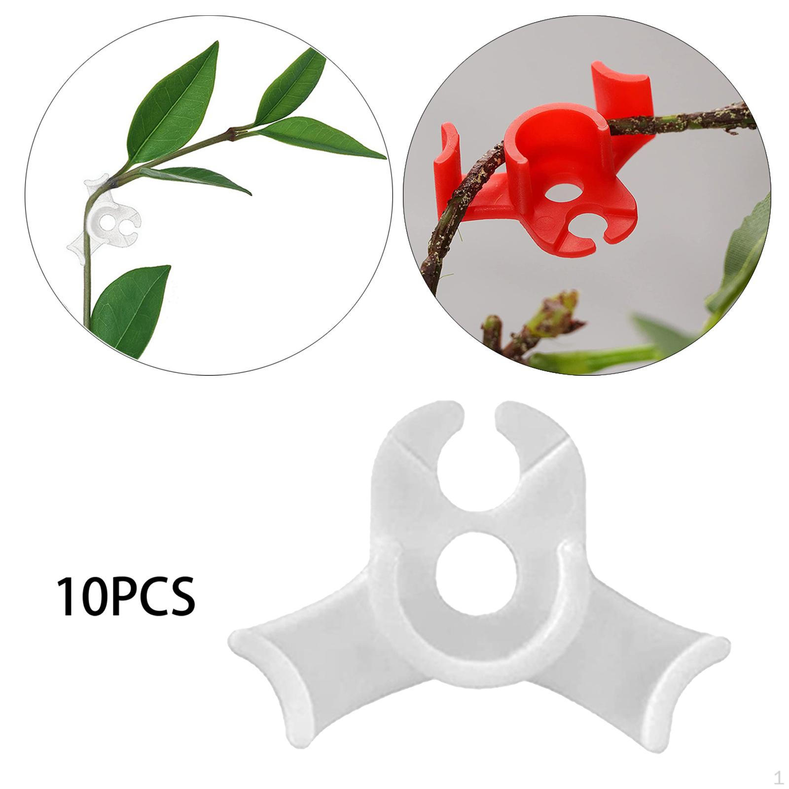 

Pieces Vegetable 90 Degree Control The Trainers Bender Garden Fixing Clips Tomato Stem Support білий