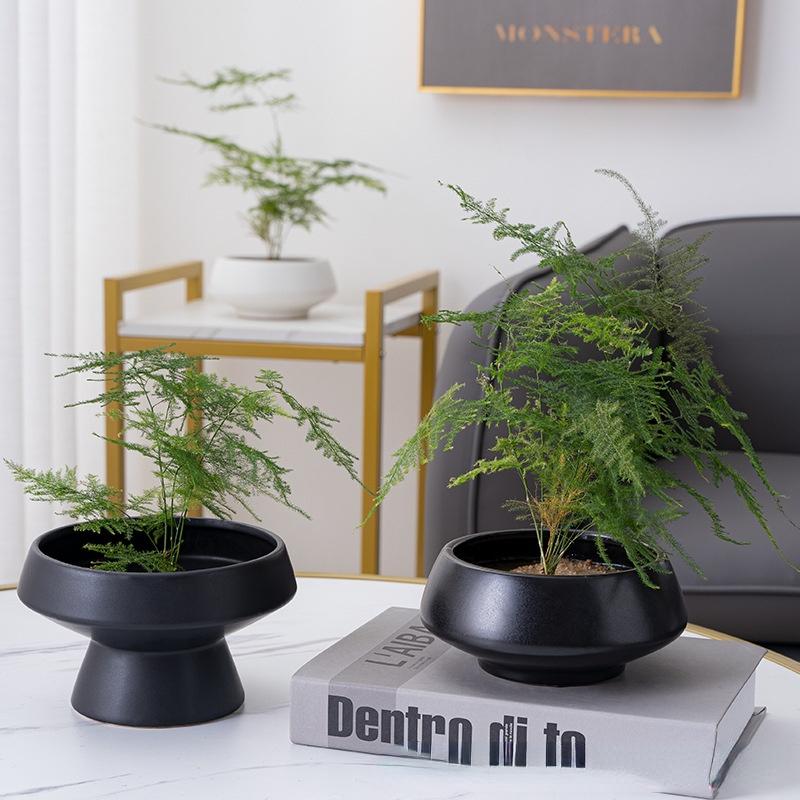 Ceramic Vase White Round Flower Pot Hydroponic Flower Arrangement Accessories Pot Container Home Decoration Flower Vases