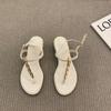 Thick Heel Pinch Foot Niche High-end Sandals Fairy Shoes 2025 New Summer Mid-heel Skirt Roman Shoes