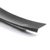 Ford Mustang Dark Horse S650 Carbon Fiber Rear Diffuser Body Kit
