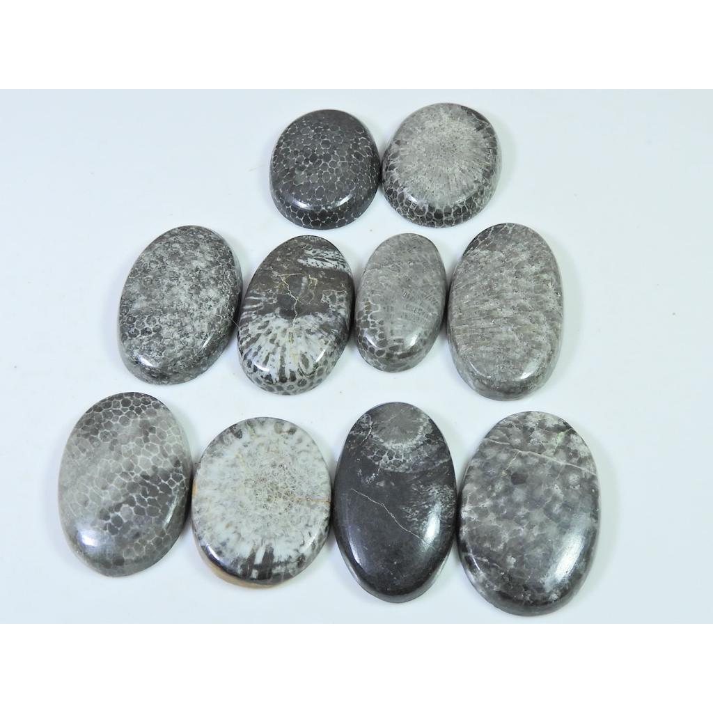 260Cts. Natural Black Fossil Coral oval Cabochon Loose Gemstone 10 Pcs Lot C-636