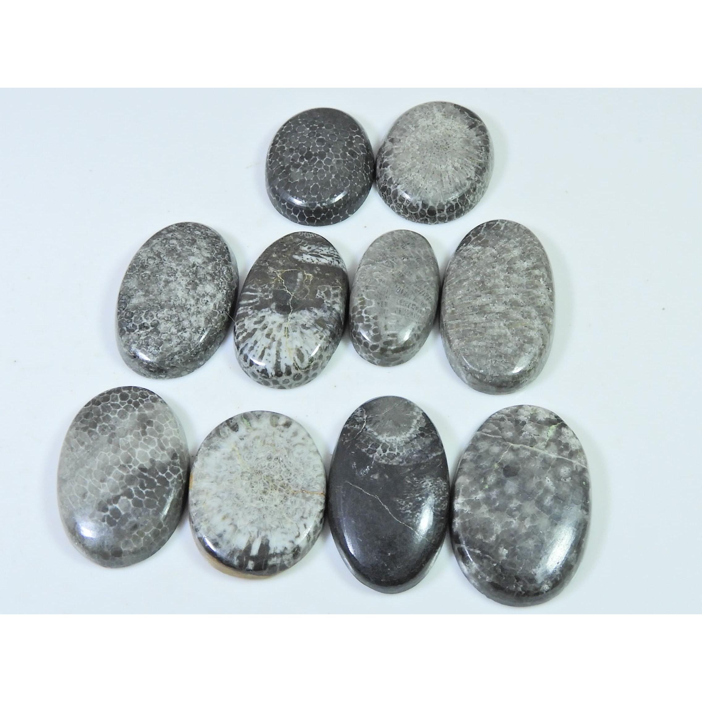 

260Cts. Natural Black Fossil Coral oval Cabochon Loose Gemstone 10 Pcs Lot C-636