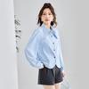 TERRE BLEUE Women's Elegant Long Sleeve Commuter Blouse