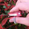 3/5/8/10Pcs Gardening Thumb Knife Fruit Picker Sharp Blade Mini Size Portable Multifunctional Finger Cutter Tool