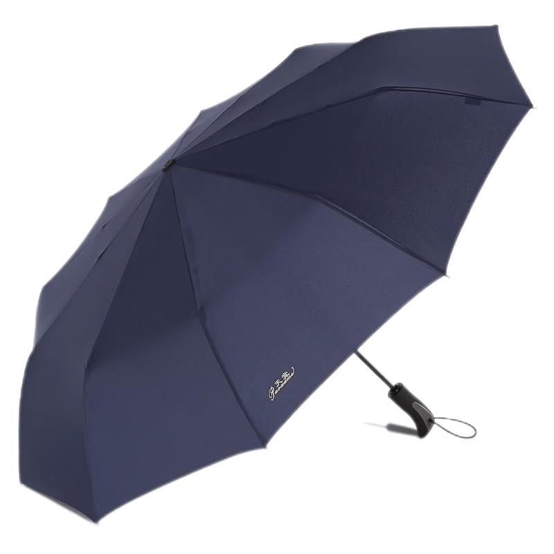Tiantang 10-Rib Automatic Business Umbrella