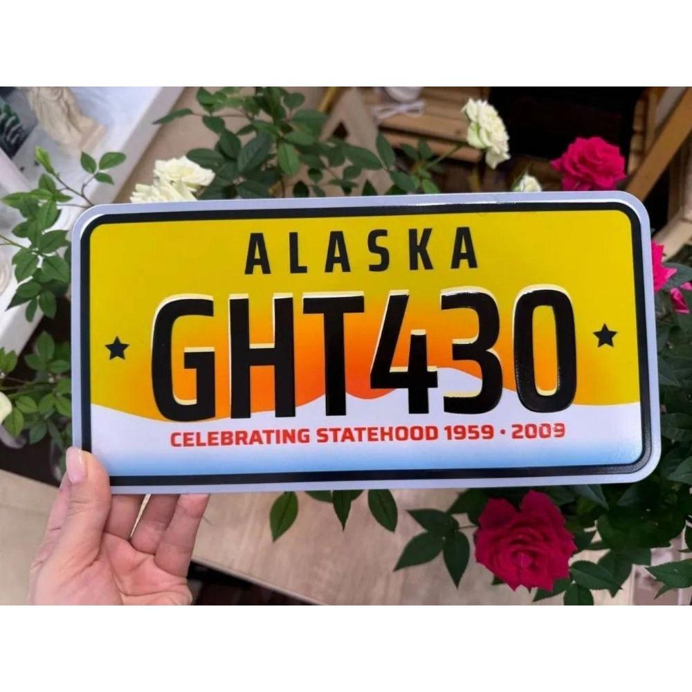 NÁS. registrační značka, USA. SPZ, kovová, 15x30 cm.