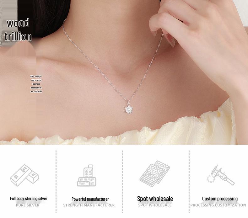 Sterling Silver Snowflake Diamond Necklace - High-End Clavicle Chain with Niche Design Pendant Choker