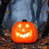 Pinkunn LED pumpkin lanterns Halloween decor 6 pcs