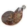 Ammonitenschale Anhänger Handgefertigt Vintage Natur Ammonit Anhänger für Frauen Männer Geschenk
