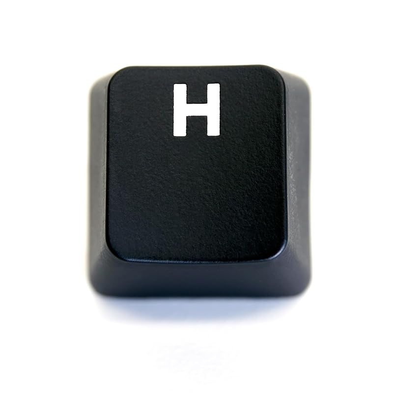 

logitech GPRO G PRO X keycap Japanese sequence for replacement [Sold separately] key switch keyboard gaming Compatible with luminescence [BERGBUCH]