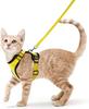 Breathable Reflective Strips Jacket Cat Harness and Leash for Walking,Escape Proof Soft Adjustable Vest Harnesses for Cat