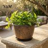 Indoor Decorative Plant Containers 12 Inch Thickened Flower Pots for Outdoor Indoor, Plastic Leaf-Pattern Texture Large Basin with Saucer Planter