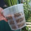 5 Pcs Meshpot Clear Plastic Orchid Pots With Tray Plastic Clear Flower Plant Repotting Desktop Plant Orchid Pot