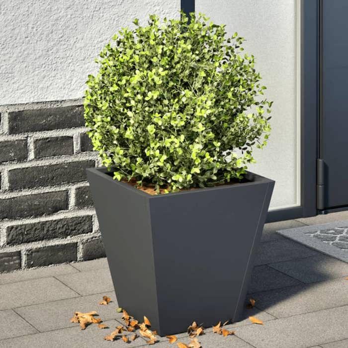 VidaXL Jardinières 2 pcs anthracite 30x30x30 cm acier, jardinière d'extérieur, boîte à fleurs, boîte de jardin, jardinière 851043