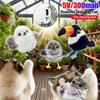Automatic Dancing Bird Cat Toy with Sound Electric Fluttering Kitten Play Rechargeable Pet Toy Active Moving Pet Interactive
