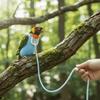 Breathable Mesh Bird Flight Suits Snap-Closure Parrot Flying Clothes Parrot Diaper  Pigeons