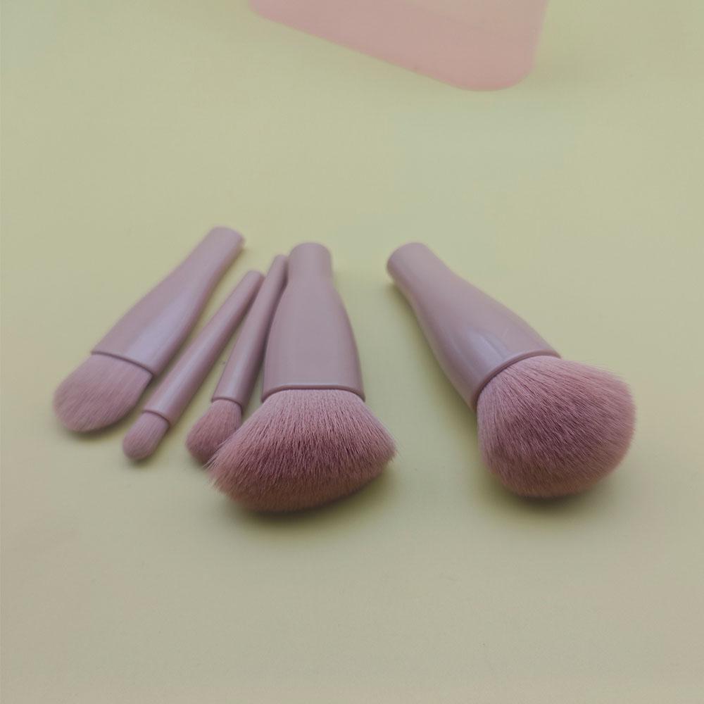 Makeup Brush Set 5 Pcs Professional Travel Small Makeup Brushes with Brush Case, Cosmetics Brushes for Foundation, Eyeshadow, Powder, Blush Brush Kit