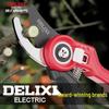 Delixi Fruit Tree Pruning Shears