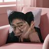 Z-ZICO SINGER Cushion Cover Multi-Scene Pillow Cover for Home & Car - Reversible, Soft & Durable for Daily Use