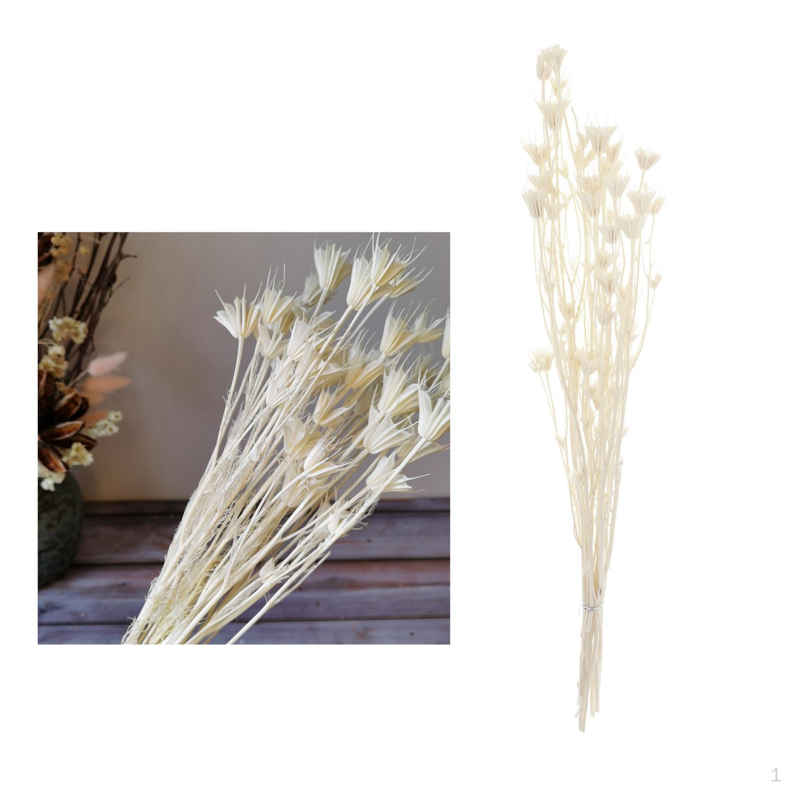 Букет из Сухоцветов со Звездой, Композиция Центральный Элемент для Офисных Украшений белый