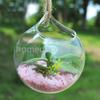 Pianta da Fiore Appesa Vaso di Vetro Trasparente Bottiglia Vaso Matrimonio Giardino Sfera Decorazione