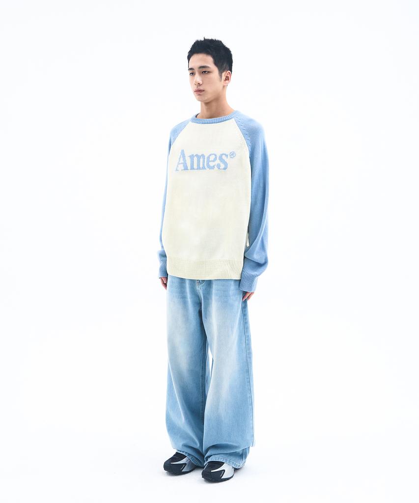 AMES-WORLDWIDE Basic Raglan Pullover Knit Light Blue