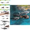 Realistic Ocean Animal Models Set Including Mythical Dragon Whale Shark And Sea Lion For Educational Play