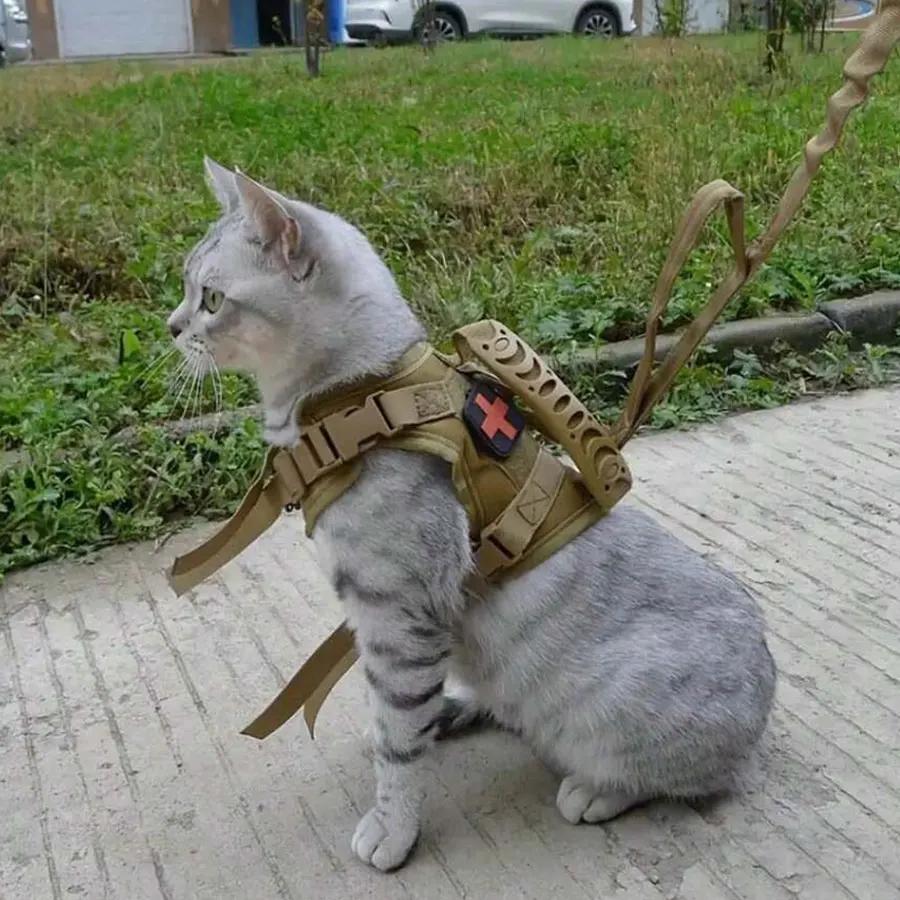 INS Outdoor Cat Vest Waterproof Cat Clothes Cat Chest Strap Special Vest for Walking Cats Can Be Adjusted